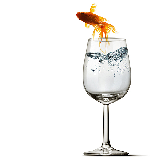 Photo Editing in Photoshop – Fish Jumping Out of a Wine Glass