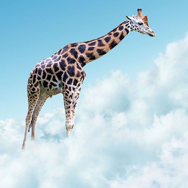 Photo Editing – Create an Imaginative Photomanipulation of a Giraffe on the Clouds in Photoshop