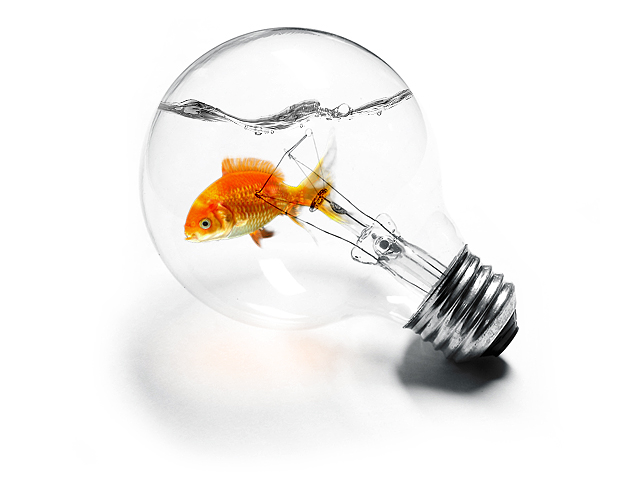 Photo Editing – Create a Imaginative Picture of a Goldfish in a Light Bulb Aquarium in Photoshop